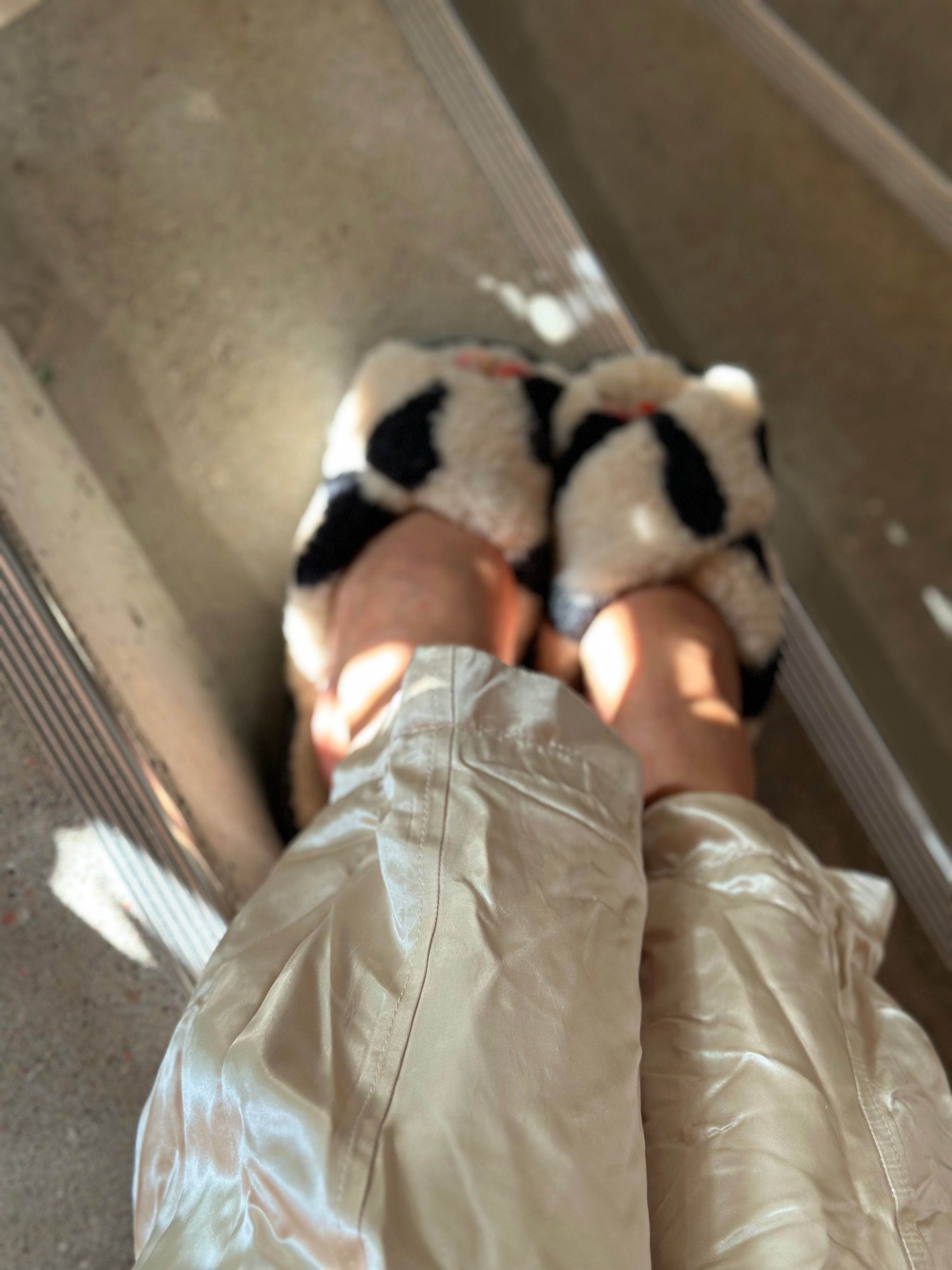 Slipper &