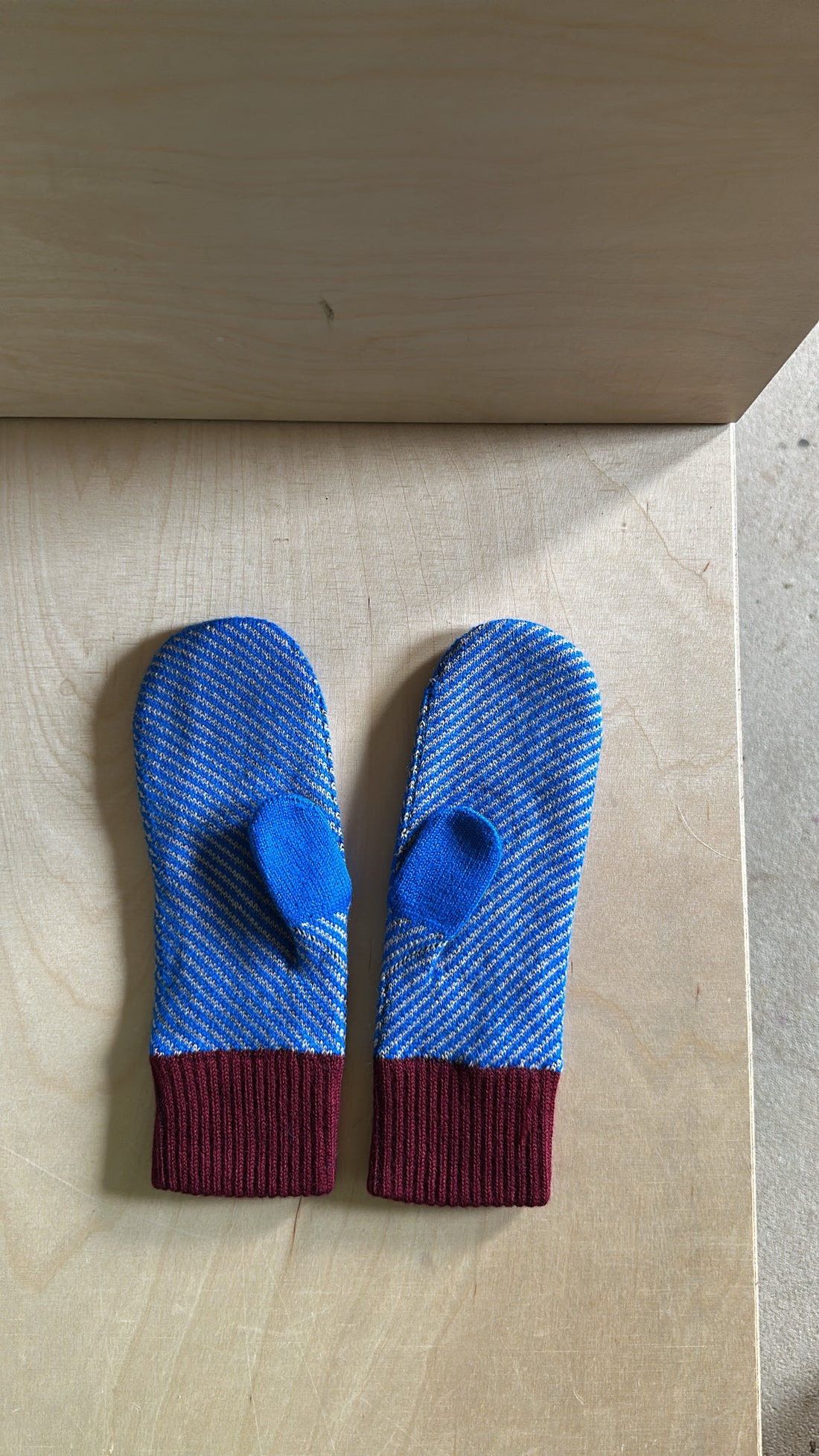 Handschuhe Wolvis - Blau