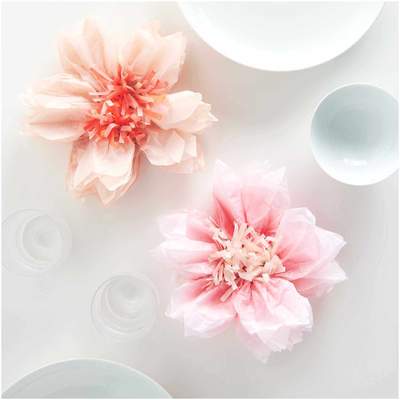 Seidenpapierblumen apricot/ rosa